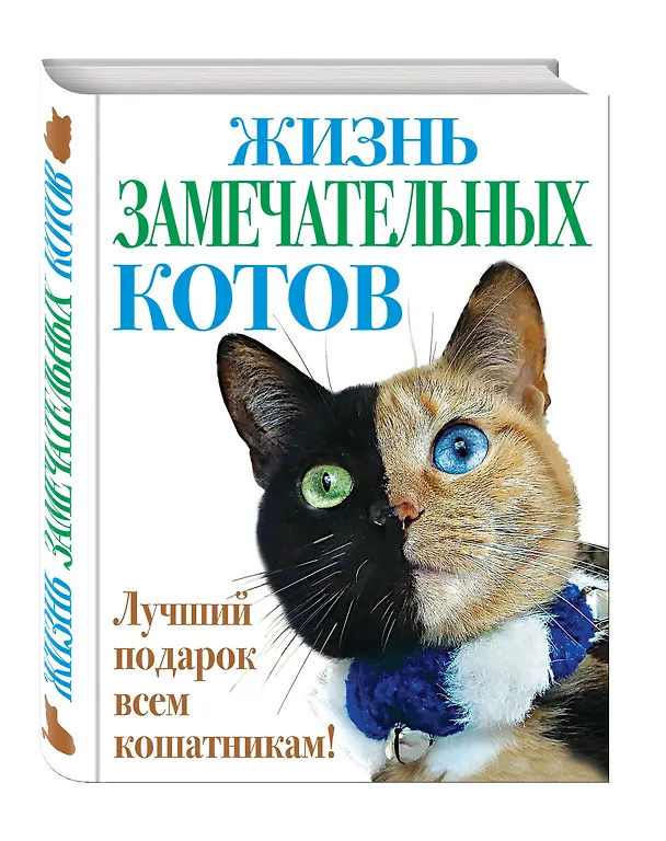 Книга Жизнь замечательных котов () — 4