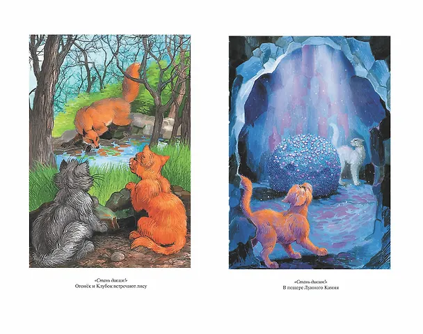 Книга Стань диким! Огонь и лед (Эрин Хантер) — 12