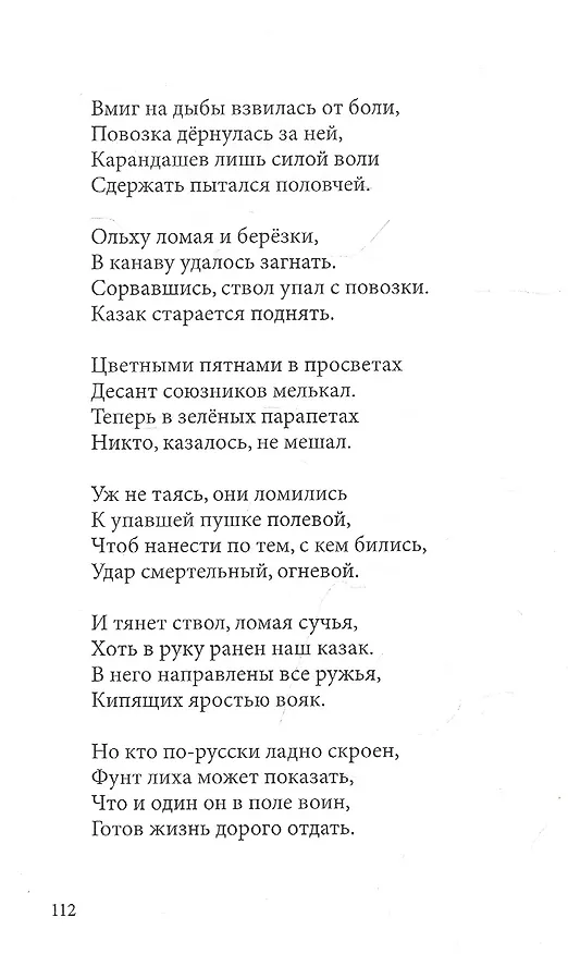 Книга Петропавловский бой 1854 (Александр Карев) — 2