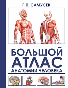 Большой атлас анатомии человека
