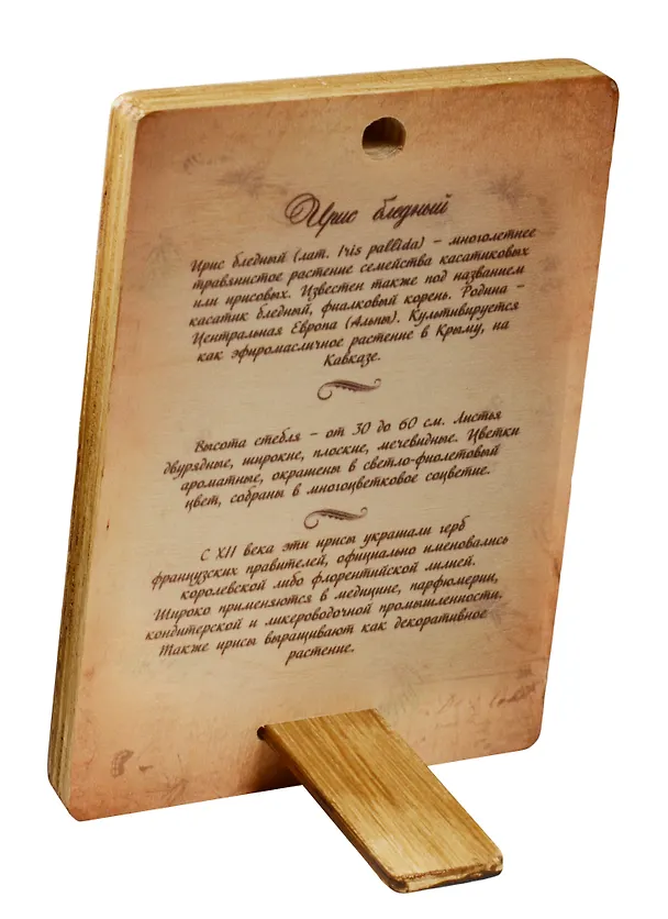 Плакетка Ирис бледный (1РВ_014) (18х12) 2549543 — 1