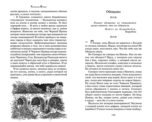 Книга Цвет мести (Корнелия Функе) — 17