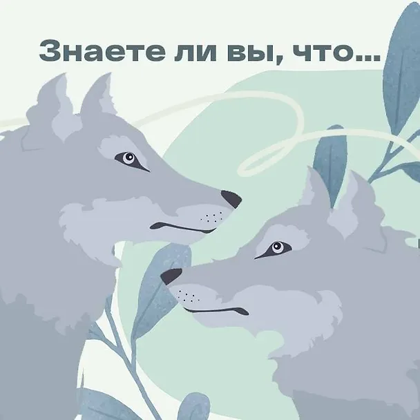 Книга Женщина нового времени. Как найти интересное дело и начать на нем зарабатывать (Элла Ли) — 6