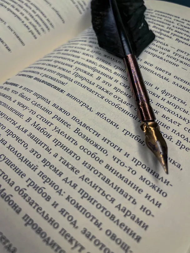 Книга Викка. Ключ к природной магии (Виктория Лим, Александр Борода) — 8