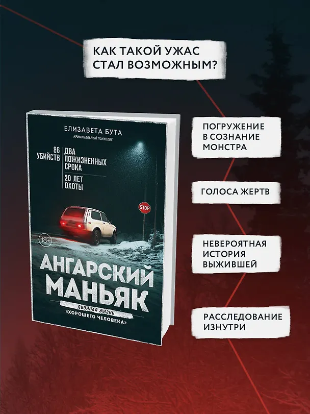 Книга Ангарский маньяк. Двойная жизнь «хорошего человека» (Елизавета Бута) — 7