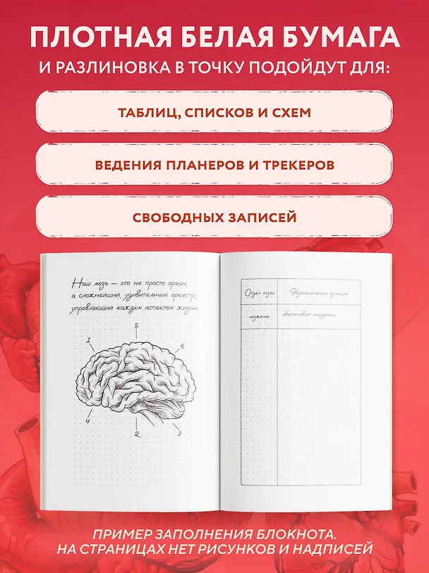 Книга для записей А5 64л тчк. "Моя остановочка. Блокнот анатомический" 3044280 — 4