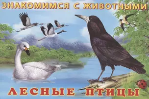 Лесные птицы — 2875881 — 1