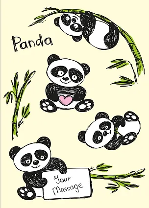 Панды. Тетрадь школьная в мягкой обложке, 48 л. 369796