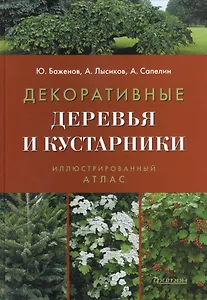 Декоративные деревья и кустарники