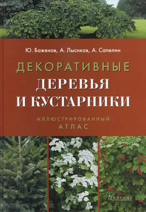 Декоративные деревья и кустарники — 2413126 — 1