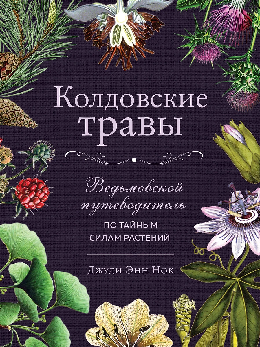 Колдовские травы. Ведьмовской путеводитель по тайным силам растений (Джуди  Энн Нок) - купить книгу с доставкой в интернет-магазине «Читай-город».  ISBN: 978-5-04-159094-9