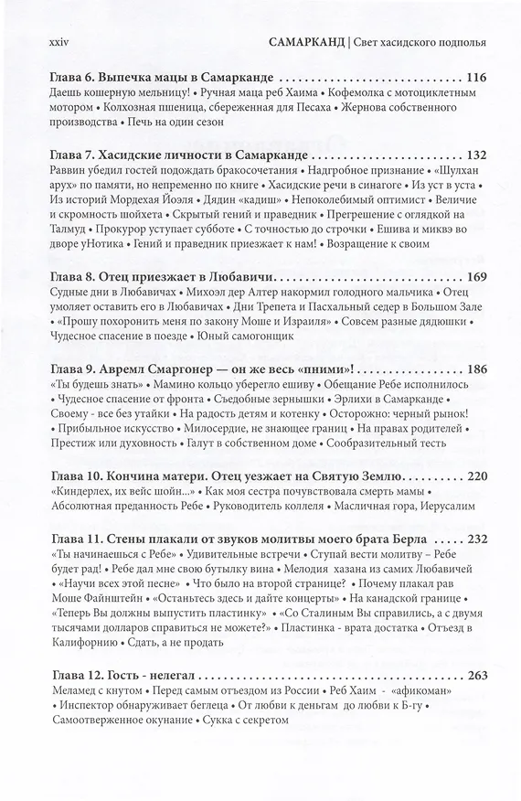 Книга Самарканд. Свет хасидского подполья (Гилель Зальцман) — 3