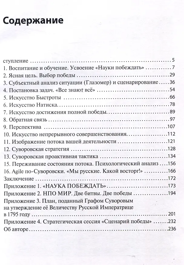 Книга Стратегия Победного Потока (Вячеслав Летуновский) — 3