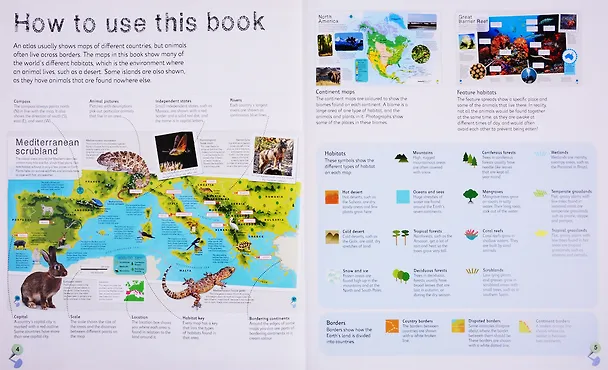 Книга Children's Illustrated Animal Atlas () — 2