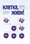 Клетка, живи!: как строится и почему умирает человеческое тело дп — 2855374 — 1