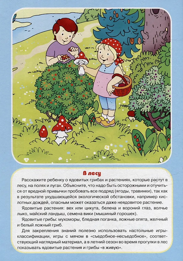 Книга Ширмочки. ОБЖ. Опасные предметы и явления. Тематический уголок для детей и родителей () — 3