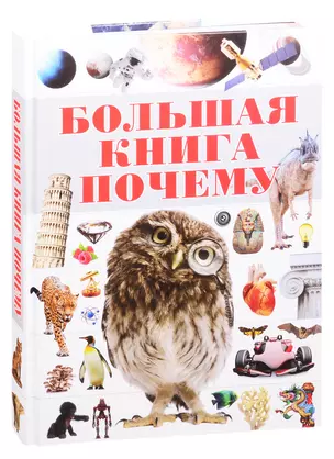 Большая книга "Почему" — 2816470 — 1