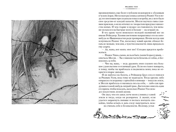Книга Рассказы о животных (Эрнест Сетон-Томпсон) — 17