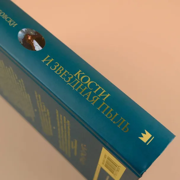 Книга Кости и Звездная пыль (Редгрейн Лебовски) — 9