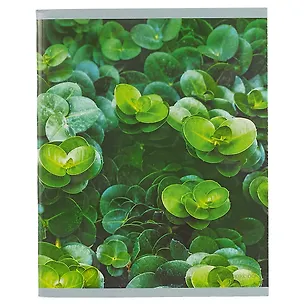 Тетрадь в клетку Unnika, "Лес на ладони", 96 листов, в ассортименте 248639