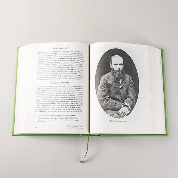 Книга [2 тома] Полка: О главных книгах русской литературы (Варвара Бабицкая, Михаил Велижев, Виктория Гендлина) — 7