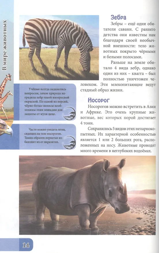 Книга ЭНЦИКЛОПЕДИЯ. В МИРЕ ЗНАНИЙ. В МИРЕ ЖИВОТНЫХ (Людмила Соколова) — 5