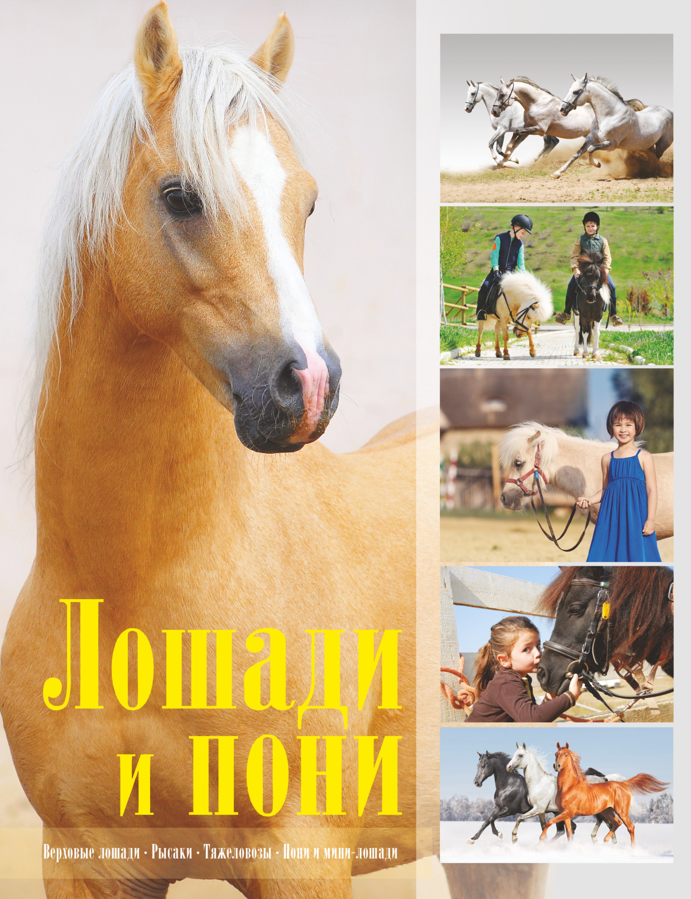 

Лошади и пони