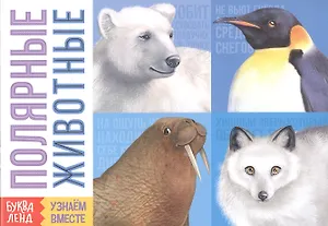 Обучающая книга «Полярные животные»