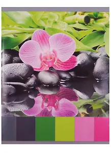 Тетрадь в клетку Unnika, "Игра красок", 48 листов, в ассортименте