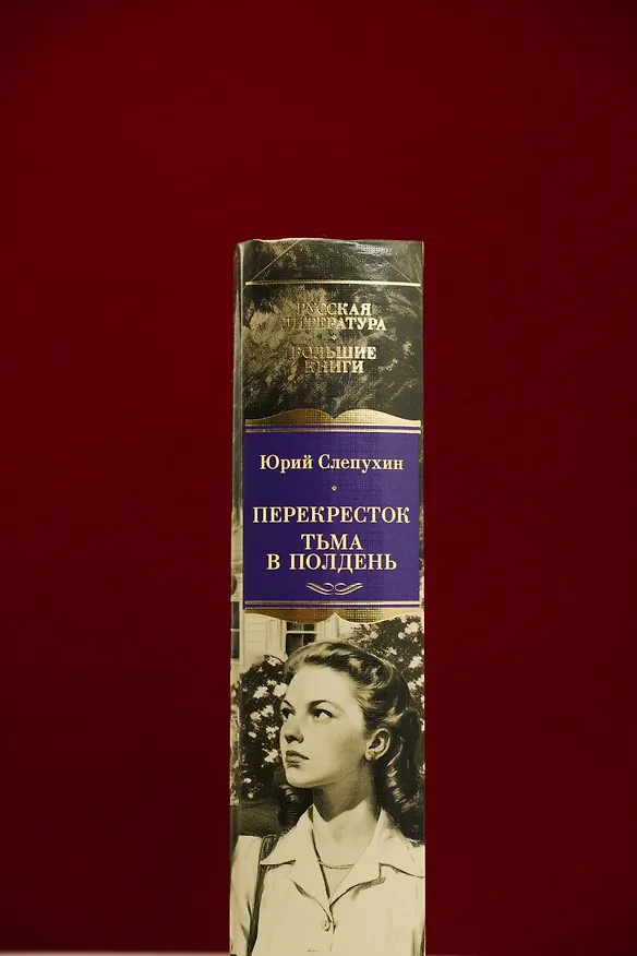 Книга Перекресток. Тьма в полдень (Юрий Слепухин) — 10