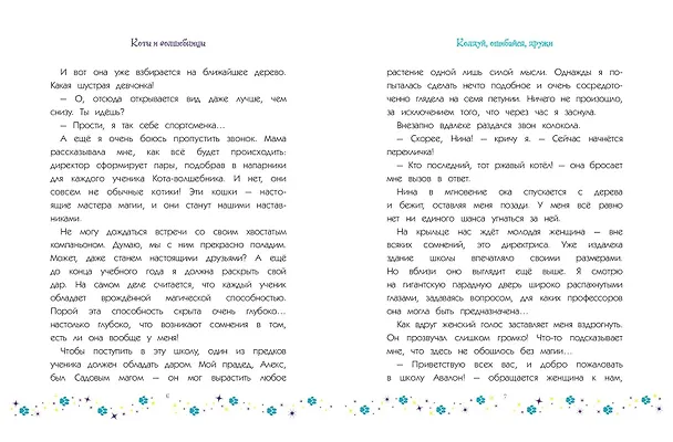 Книга Коты и волшебницы. Том 1. Колдуй, ошибайся, дружи (Катрин Каленгула, Faltazius) — 10