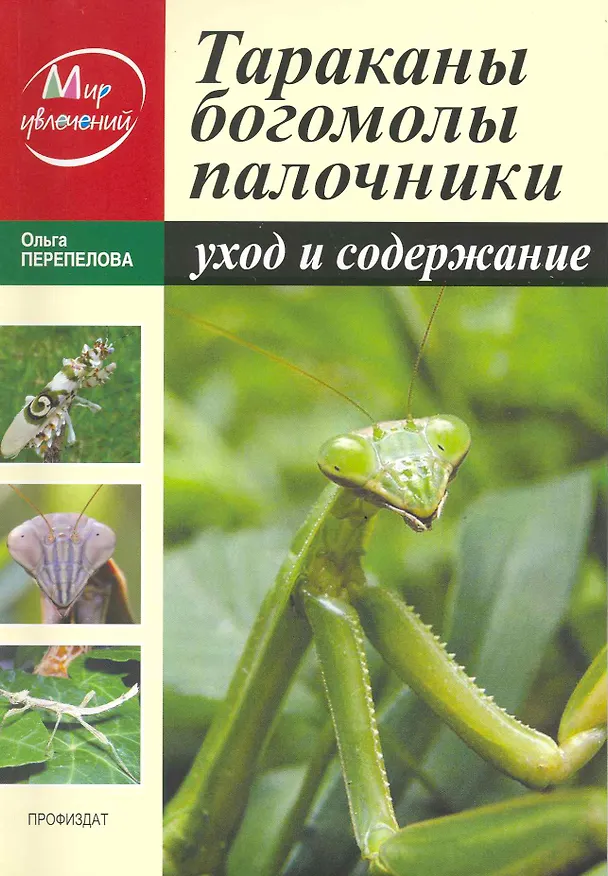 Книга Тараканы. Богомолы. Палочники. Уход и содержание / (мягк) (Мир увлечений). Перепелова О. (Профиздат) () — 2