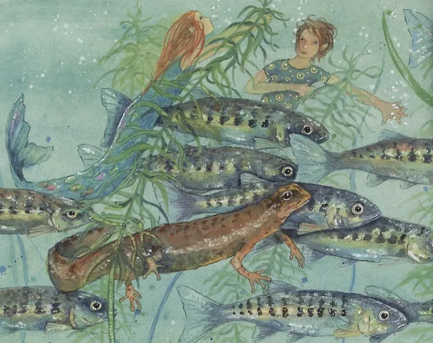 Книга Окунемся в мир русалок (Даниэла Дрешер) — 2