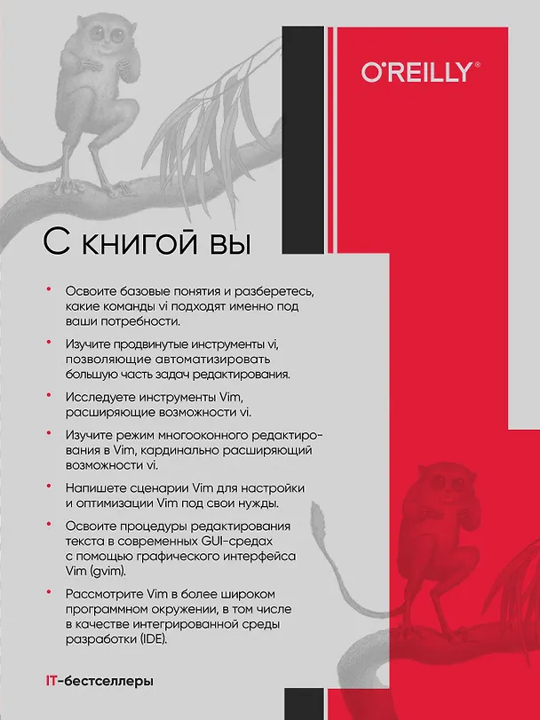 Книга Изучаем vi и Vim. Не просто редакторы. 8-е изд. (Арнольд Роббинс, Ханна Элберт) — 4