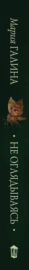Книга Не оглядываясь (Мария Галина) — 3