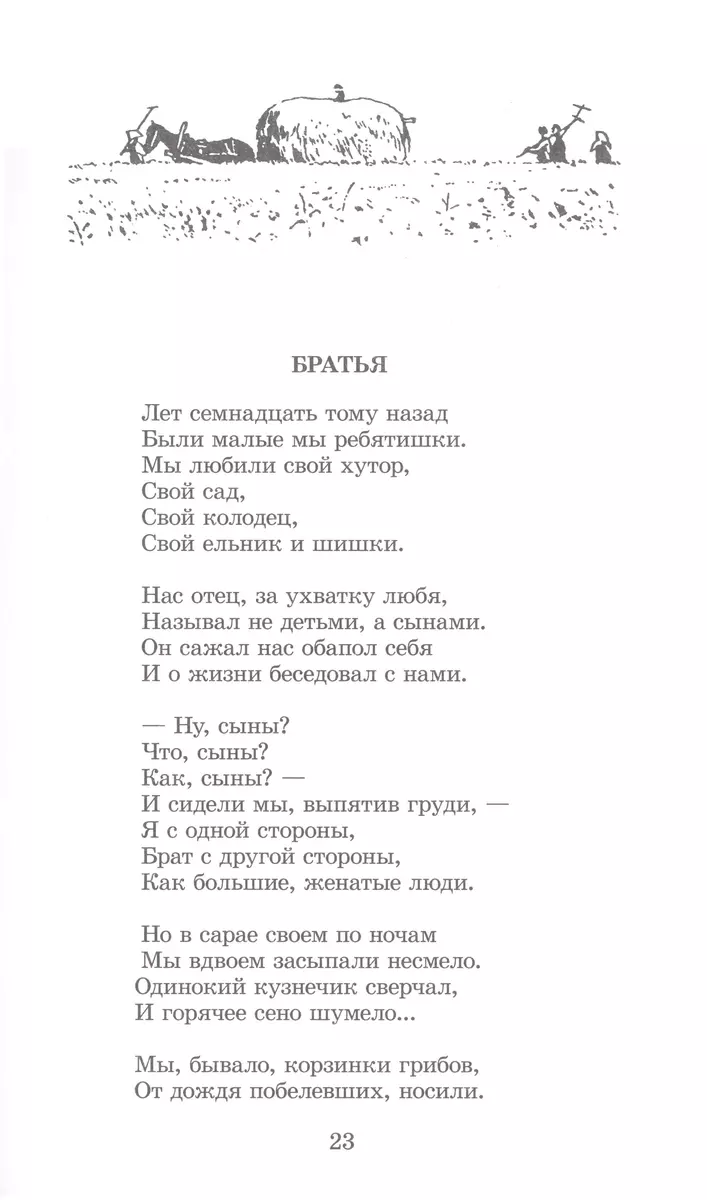 Василий Теркин (Александр Твардовский) - купить книгу с доставкой в  интернет-магазине «Читай-город». ISBN: 978-5-08-007049-5