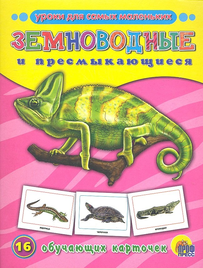 

ОБУЧАЮЩИЕ КАРТОЧКИ. ЗЕМНОВОДНЫЕ И ПРЕСМЫКАЮЩИЕСЯ