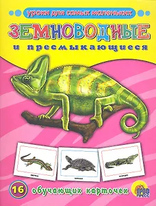 ОБУЧАЮЩИЕ КАРТОЧКИ. ЗЕМНОВОДНЫЕ И ПРЕСМЫКАЮЩИЕСЯ