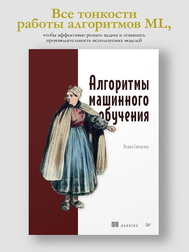 Книга Алгоритмы машинного обучения (Вадим Смоляков) — 4