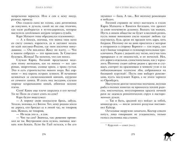 Книга По степи шагал верблюд (Йана Бориз) — 6