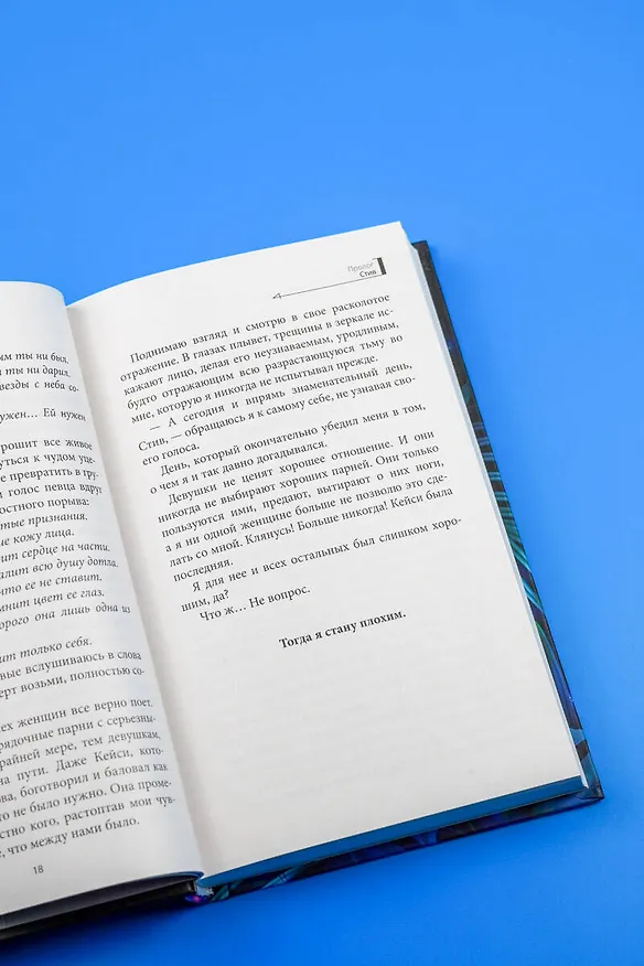 Книга Для тебя я стану плохим (Тори Майрон) — 13