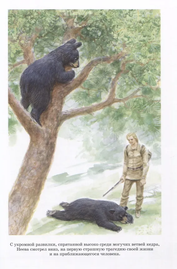 Книга Бродяги Севера. Повесть (Джеймс Оливер Кервуд) — 3