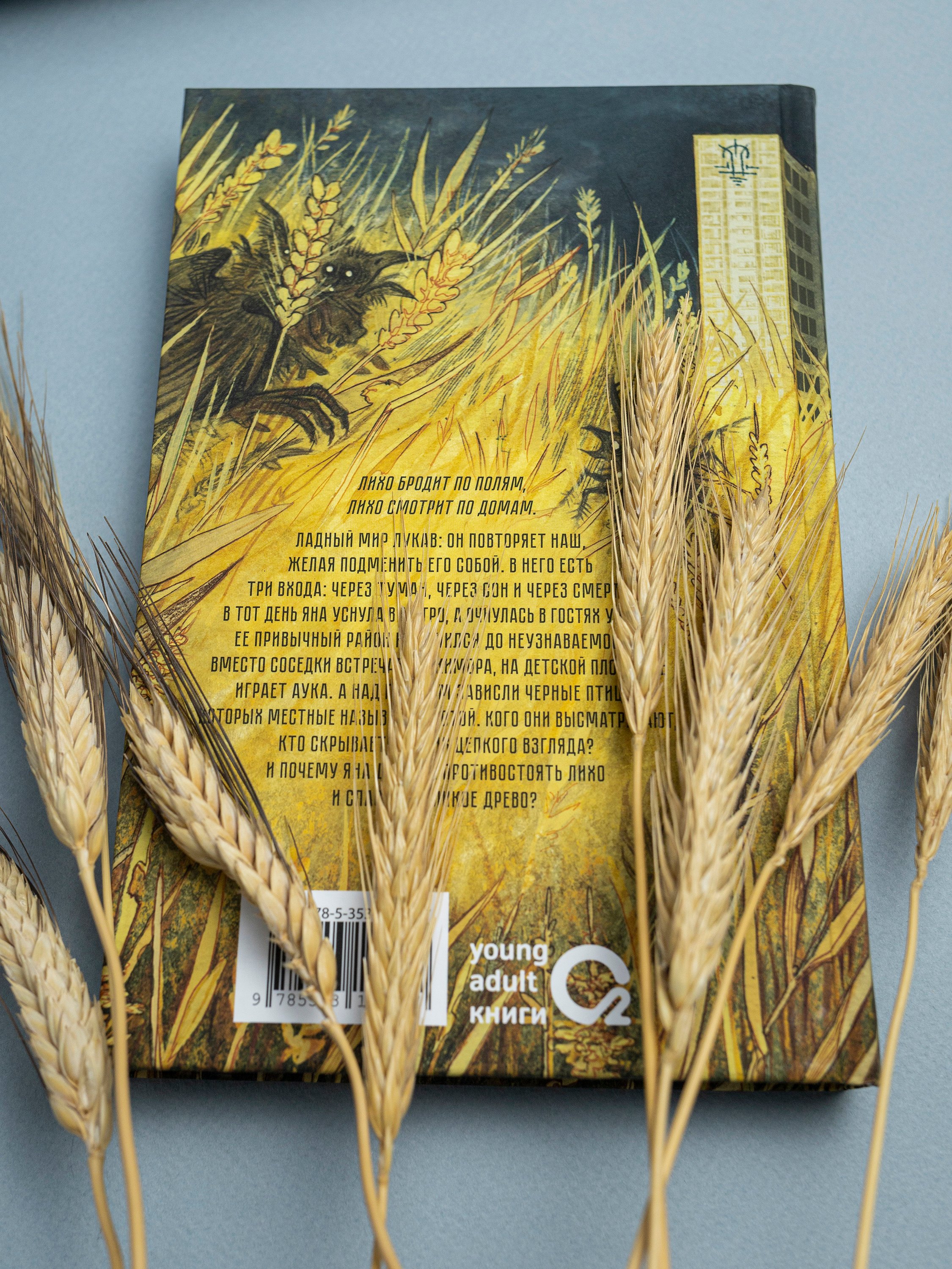 Изображение бумажной книги