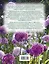 Крокусы, нарциссы и другие мелколуковичные цветы в вашем саду — 2231161 — 2