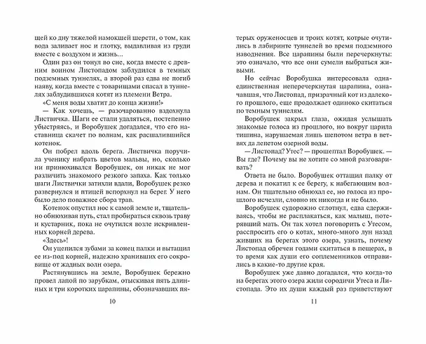 Книга Отверженные (Эрин Хантер) — 5