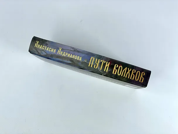 Книга Пути волхвов (Анастасия Андрианова) — 10