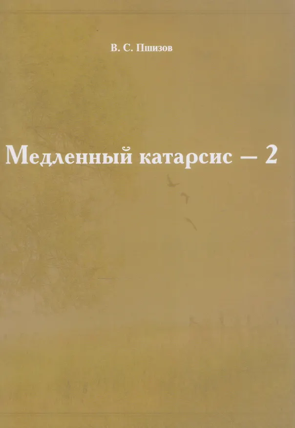 Книга Медленный катарсис-2 (Владимир Пшизов) — 1