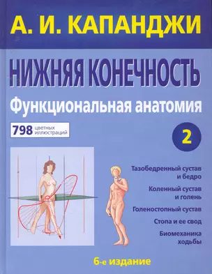 Нижняя конечность : Функциональная анатомия — 2253877 — 1