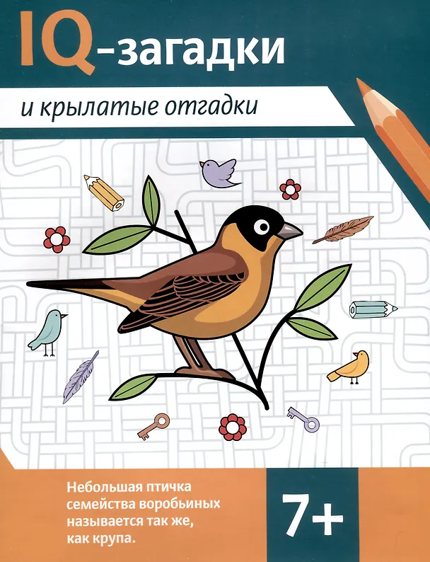 Книга IQ-загадки и крылатые отгадки (В.Ю. Черняева) — 1