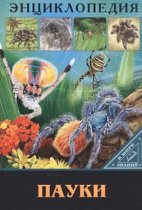 ЭНЦИКЛОПЕДИЯ. В МИРЕ ЗНАНИЙ. ПАУКИ